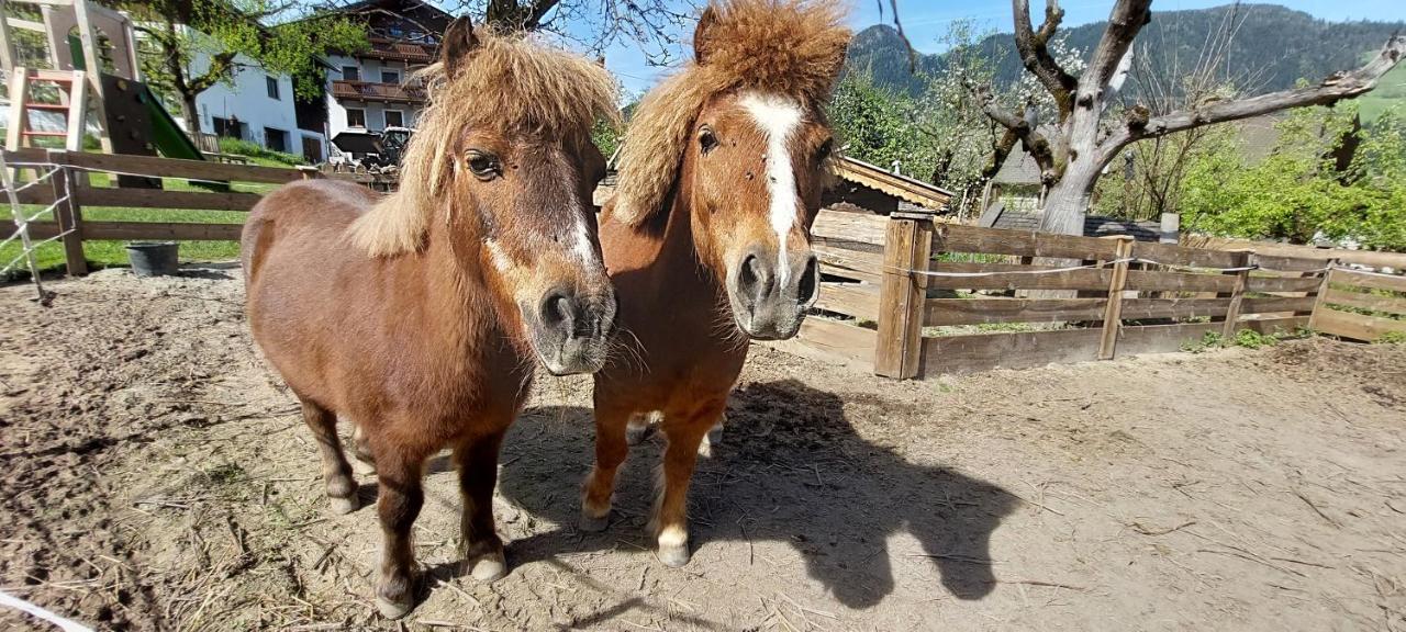 Brixnerhof Im Zillertal Hotell Schlitters Eksteriør bilde