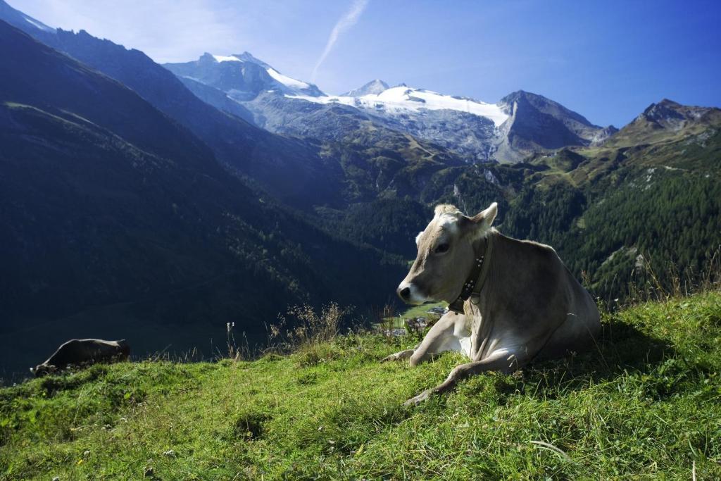 Brixnerhof Im Zillertal Hotell Schlitters Eksteriør bilde